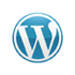 Wordpress Development Company